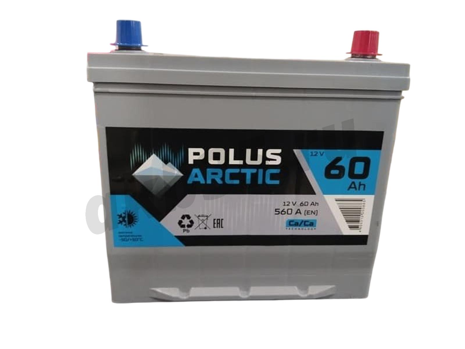 Изображение Аккумулятор POLUS ARCTIC 60 А/ч Обратный Азия : №1