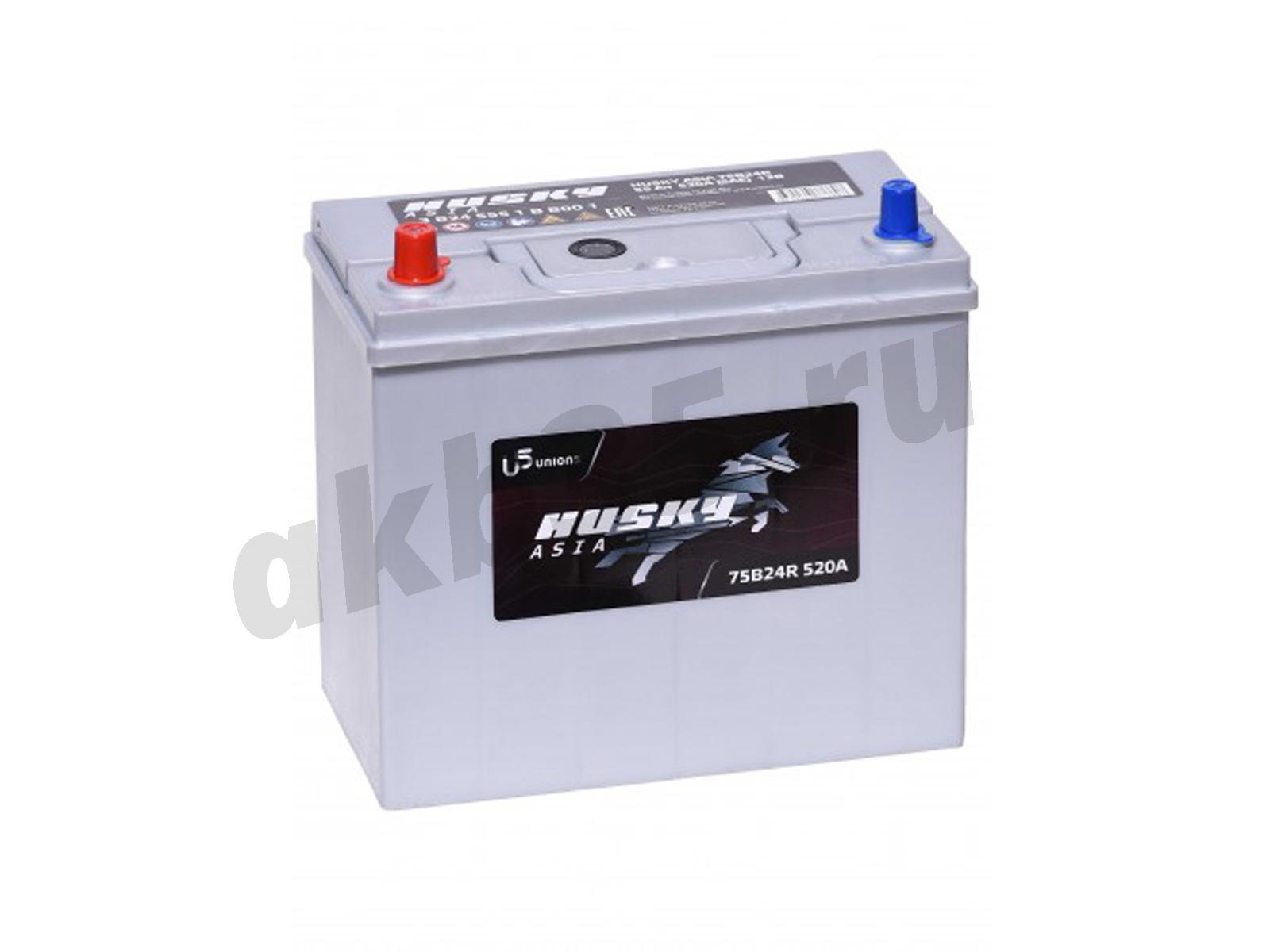 Изображение Аккумулятор HUSKY 55 А/ч Обратный Азия : №1